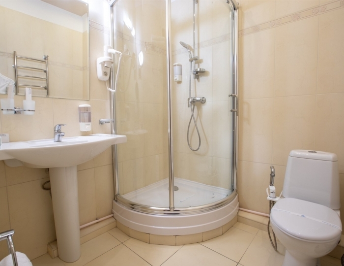 Стандартный 2-местный - Санаторий «Буковая роща» Железноводск