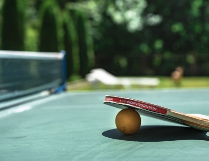 Настольный теннис - Санаторий «Буковая роща» Железноводск