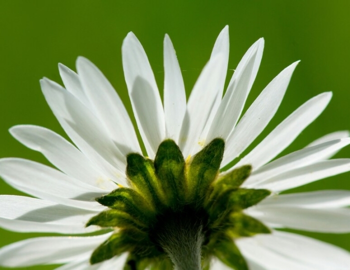 Базовая лечебная программа - Лечебные программы - Санаторий «Буковая роща» Железноводск