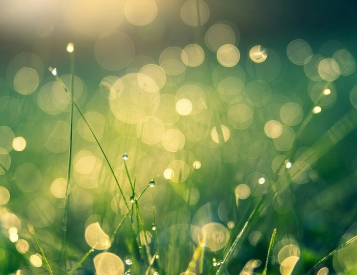 Лечебно-восстановительная программа «Лечение заболеваний органов мочевыделения» - Лечебные программы - Санаторий «Буковая роща» Железноводск